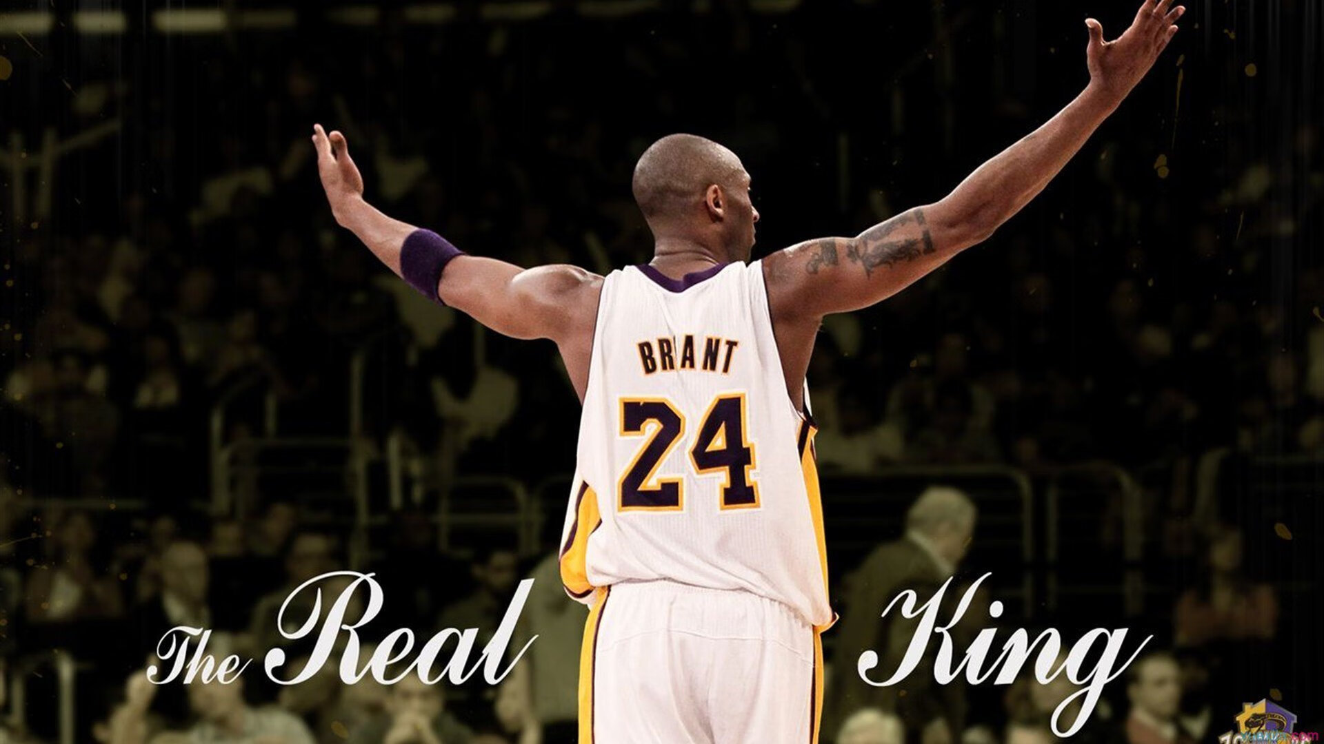 “球迷投票:年度最激烈的比赛你选哪一场?”,nba最激烈的一场比赛